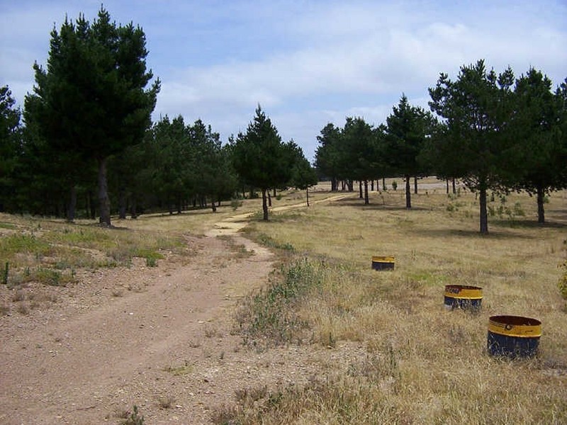 977 Oallen Ford Road, Nerriga NSW 2622