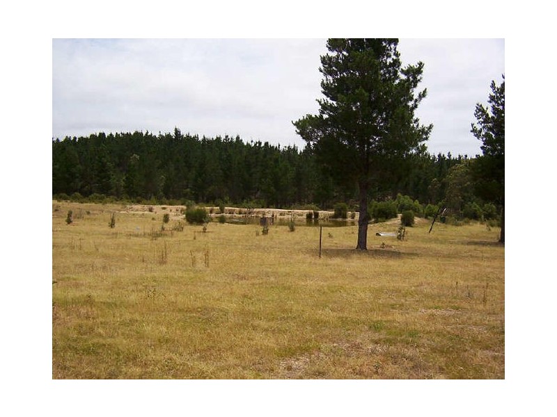 977 Oallen Ford Road, Nerriga NSW 2622