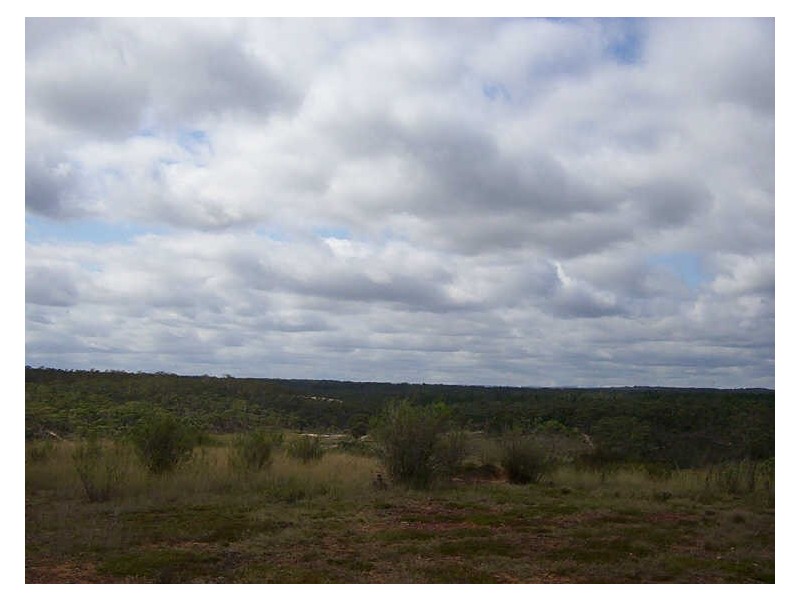 310 Clay Pitt Road, Windellama NSW 2580