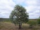 310 Clay Pitt Road, Windellama NSW 2580