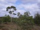310 Clay Pitt Road, Windellama NSW 2580