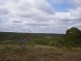 310 Clay Pitt Road, Windellama NSW 2580
