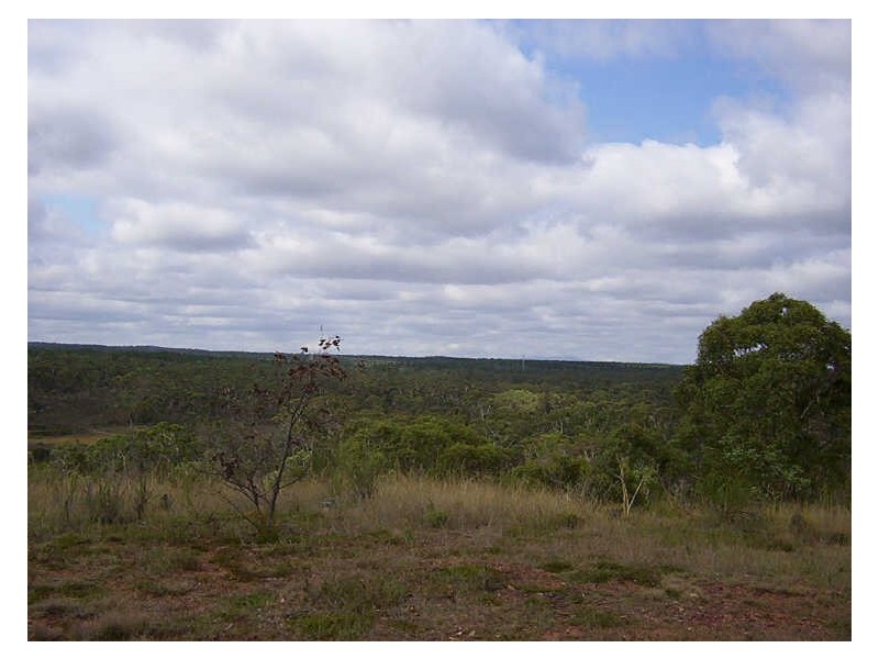 310 Clay Pitt Road, Windellama NSW 2580