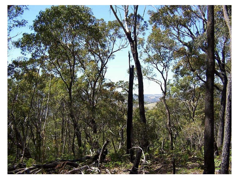 550 Wombeyan Caves Road, Taralga NSW 2580