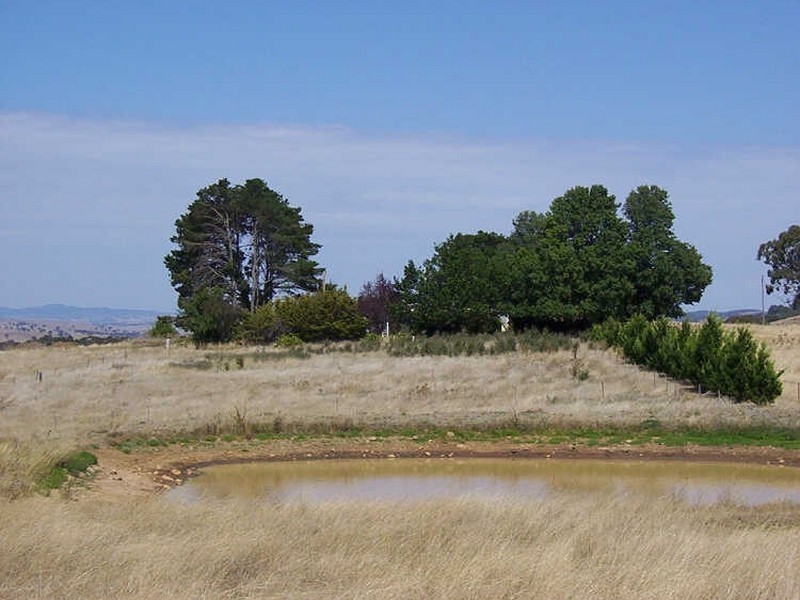 Castlewood Biala Road, Gunning NSW 2581