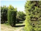 Castlewood Biala Road, Gunning NSW 2581