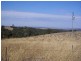 Castlewood Biala Road, Gunning NSW 2581