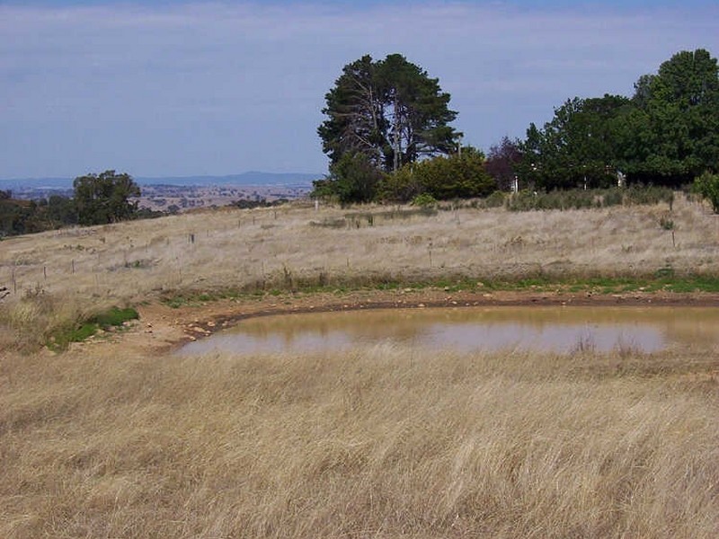 Castlewood Biala Road, Gunning NSW 2581