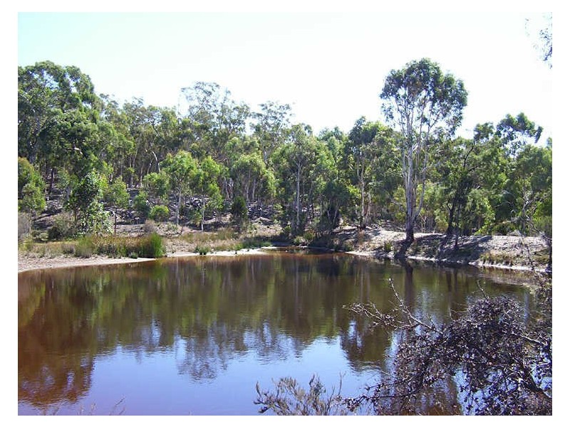 220 Williams Drive, Tarago NSW 2580