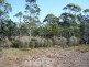 220 Williams Drive, Tarago NSW 2580