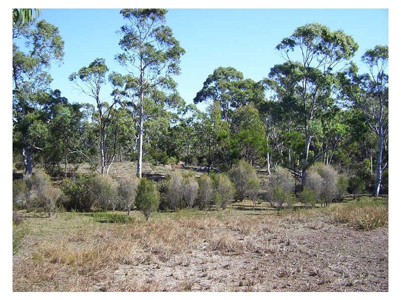 220 Williams Drive, Tarago NSW 2580