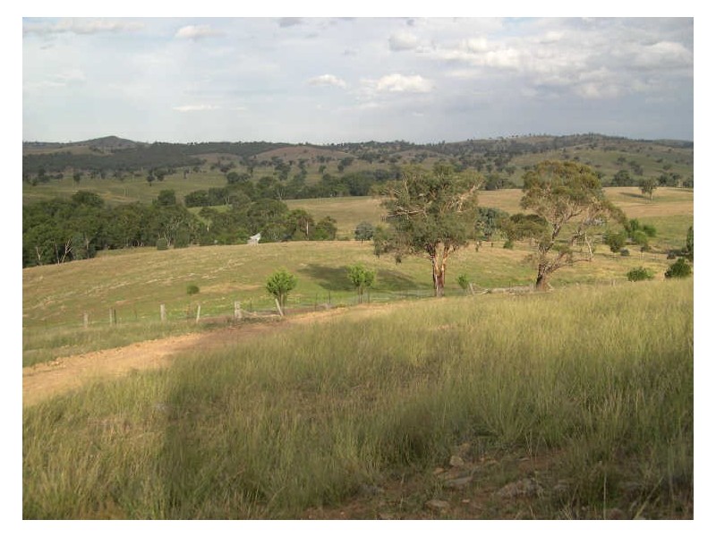 883 Old Wheeo Road, Boorowa NSW 2586