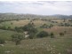 883 Old Wheeo Road, Boorowa NSW 2586