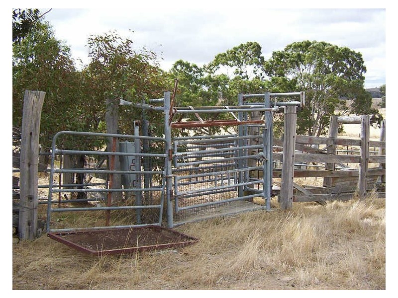 883 Old Wheeo Road, Boorowa NSW 2586
