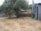 883 Old Wheeo Road, Boorowa NSW 2586