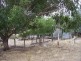 883 Old Wheeo Road, Boorowa NSW 2586