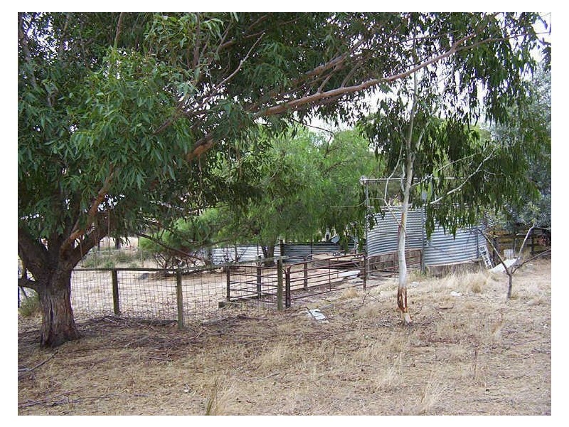 883 Old Wheeo Road, Boorowa NSW 2586