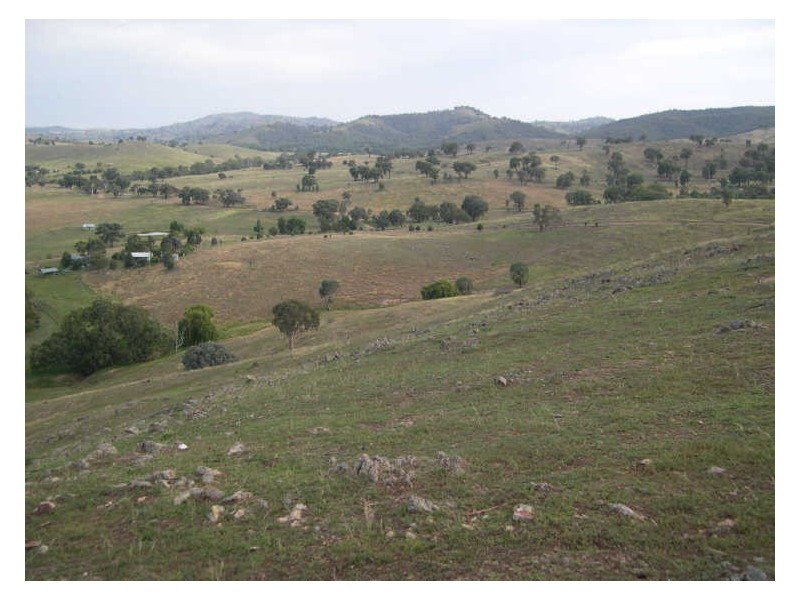 883 Old Wheeo Road, Boorowa NSW 2586