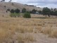 883 Old Wheeo Road, Boorowa NSW 2586