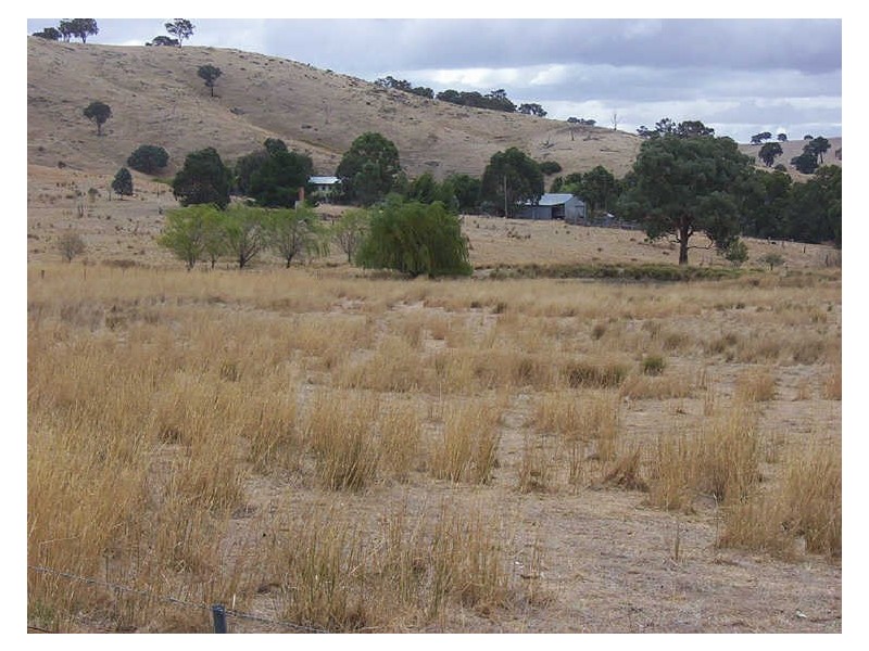 883 Old Wheeo Road, Boorowa NSW 2586