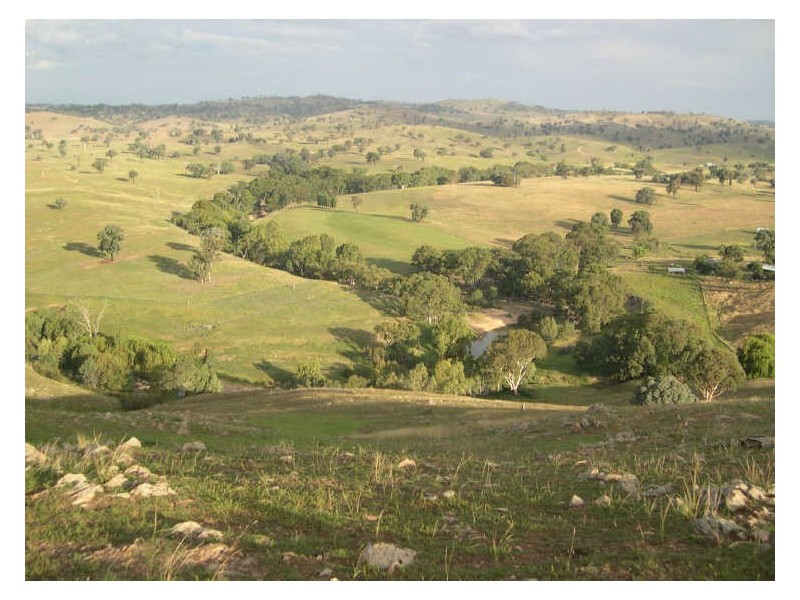 883 Old Wheeo Road, Boorowa NSW 2586