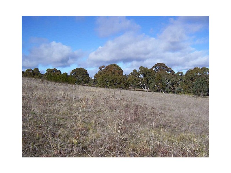 436 Boxers Creek Road, Towrang NSW 2580