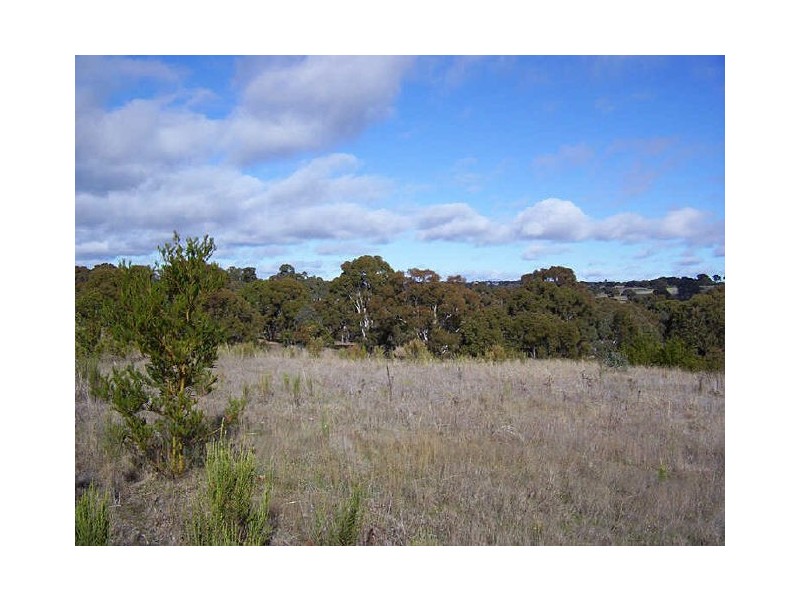 436 Boxers Creek Road, Towrang NSW 2580