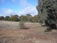 436 Boxers Creek Road, Towrang NSW 2580