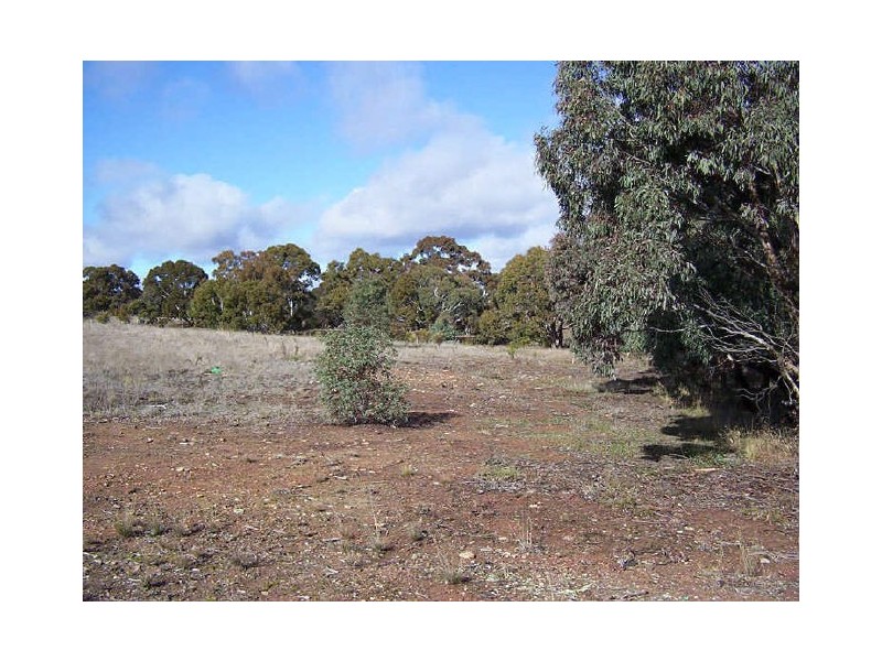 436 Boxers Creek Road, Towrang NSW 2580