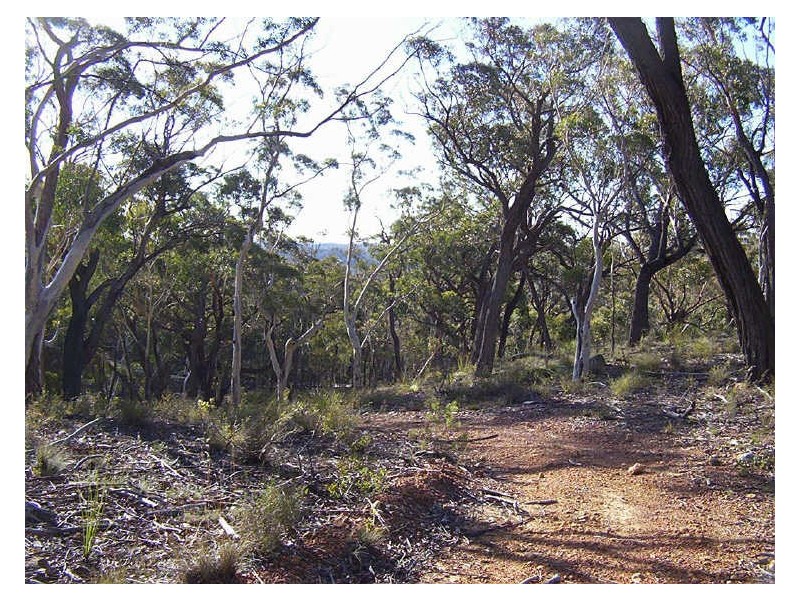 1055 Spa Road, Windellama NSW 2580