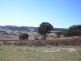Lots 171 1 Jerrong Road, Taralga NSW 2580