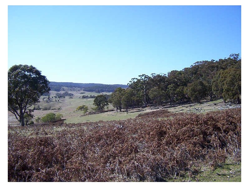 Lots 171 1 Jerrong Road, Taralga NSW 2580