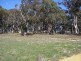 116 Golden Plains Drive, Goulburn NSW 2580