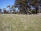 Sapphire Road, Crookwell NSW 2583