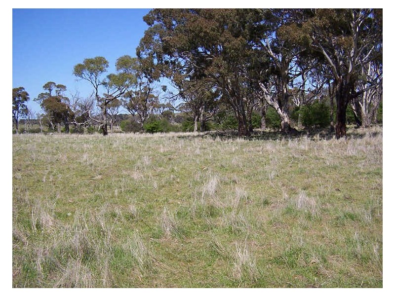 Sapphire Road, Crookwell NSW 2583
