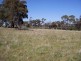 Sapphire Road, Crookwell NSW 2583