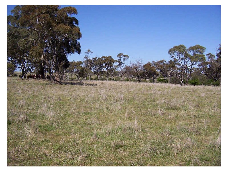 Sapphire Road, Crookwell NSW 2583