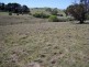 Sapphire Road, Crookwell NSW 2583