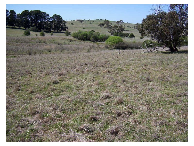 Sapphire Road, Crookwell NSW 2583
