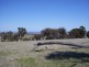 Sapphire Road, Crookwell NSW 2583
