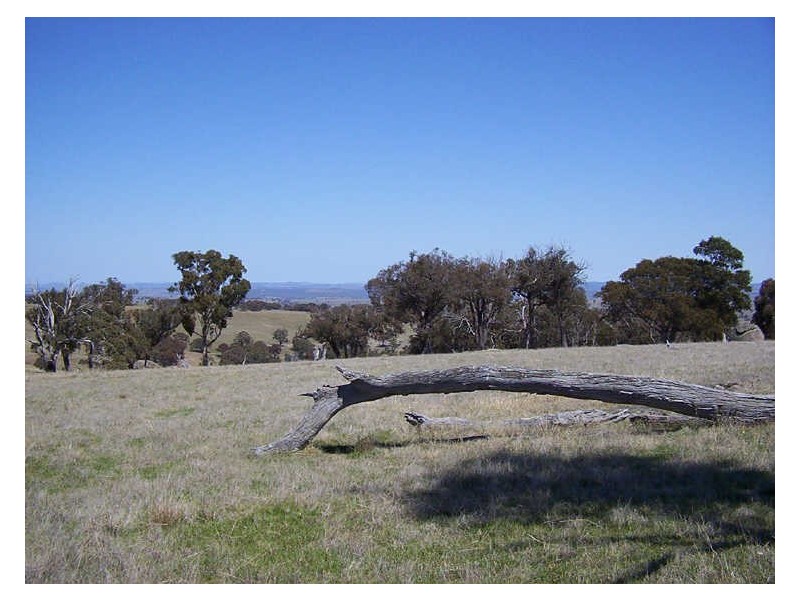 Sapphire Road, Crookwell NSW 2583