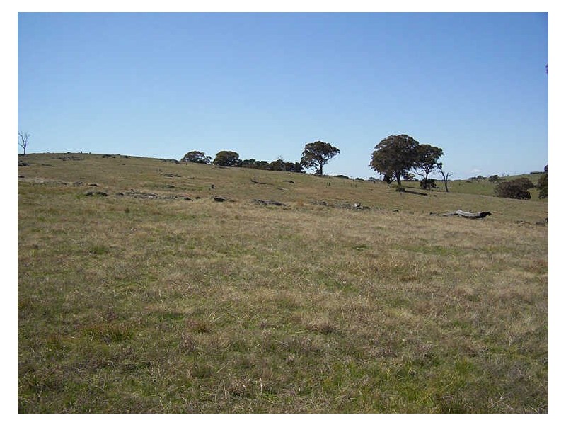 Sapphire Road, Crookwell NSW 2583