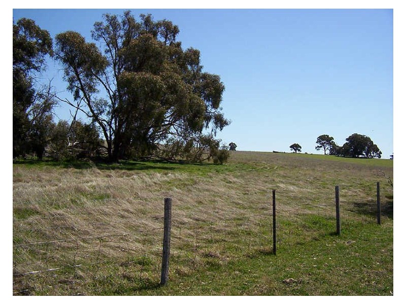 Sapphire Road, Crookwell NSW 2583