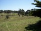 Sapphire Road, Crookwell NSW 2583