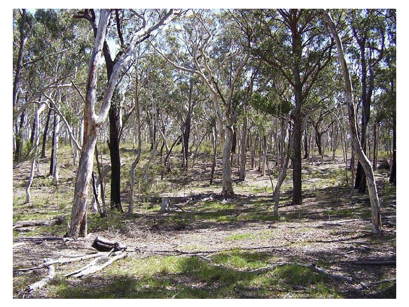 Lot 22 Banksia Lane, Bungonia NSW 2580
