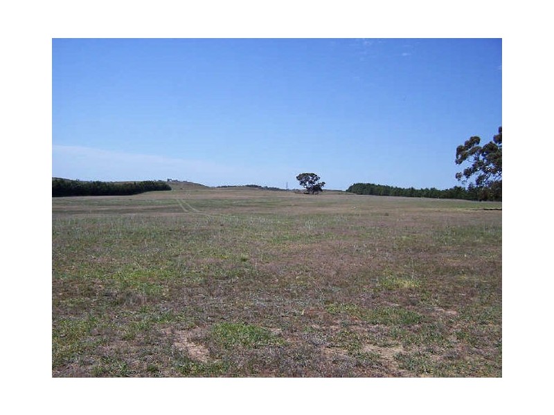 Lot 1/3170 Oallen Ford Road, Windellama NSW 2580