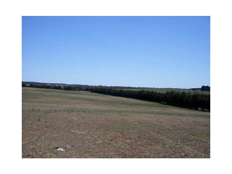 Lot 1/3170 Oallen Ford Road, Windellama NSW 2580
