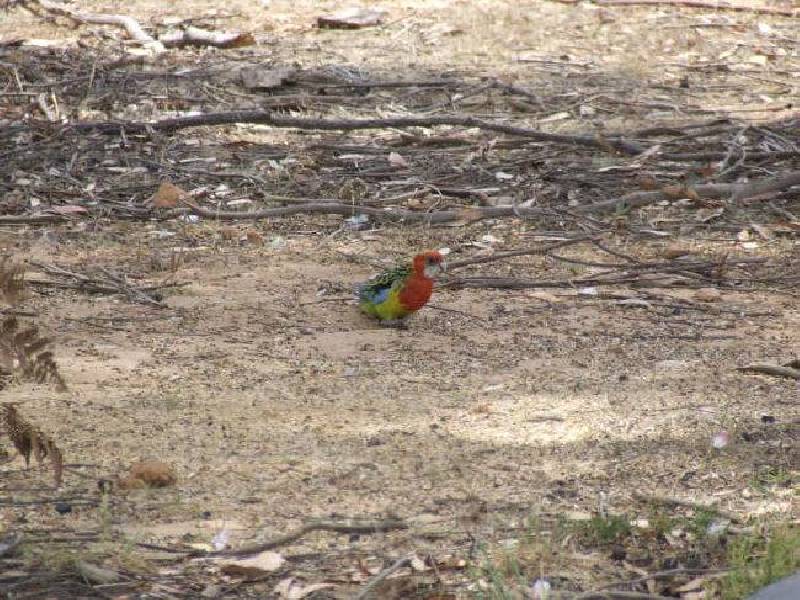 Lot 37,700 Jerrong Road, Taralga NSW 2580