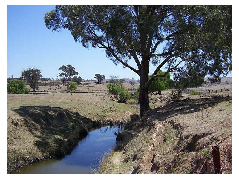 Ptn 116 Koala Lane, Boorowa NSW 2586