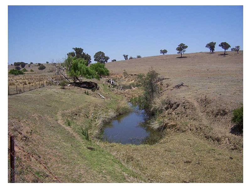 Ptn 116 Koala Lane, Boorowa NSW 2586